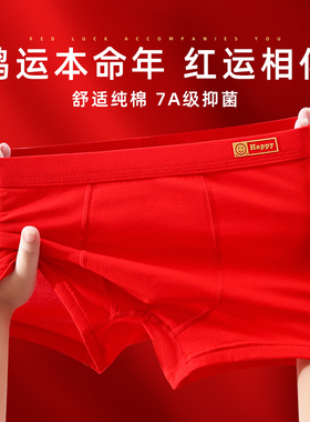 男童本命年红色平角内裤蛇年纯棉12岁大童全棉男孩13儿童四角底裤