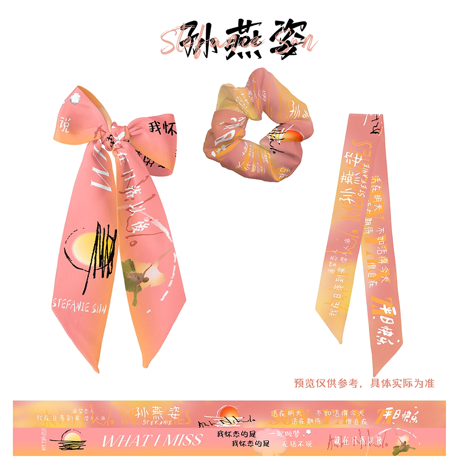 孙燕姿演唱会应援定制