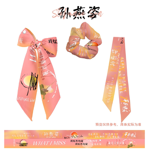 孙燕姿演唱会应援定制