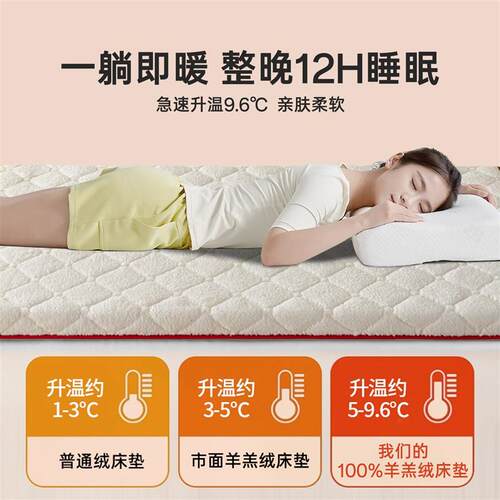 2025新款5D硬质棉羊羔绒床垫软垫榻榻米床垫子180x200垫子冬加厚
