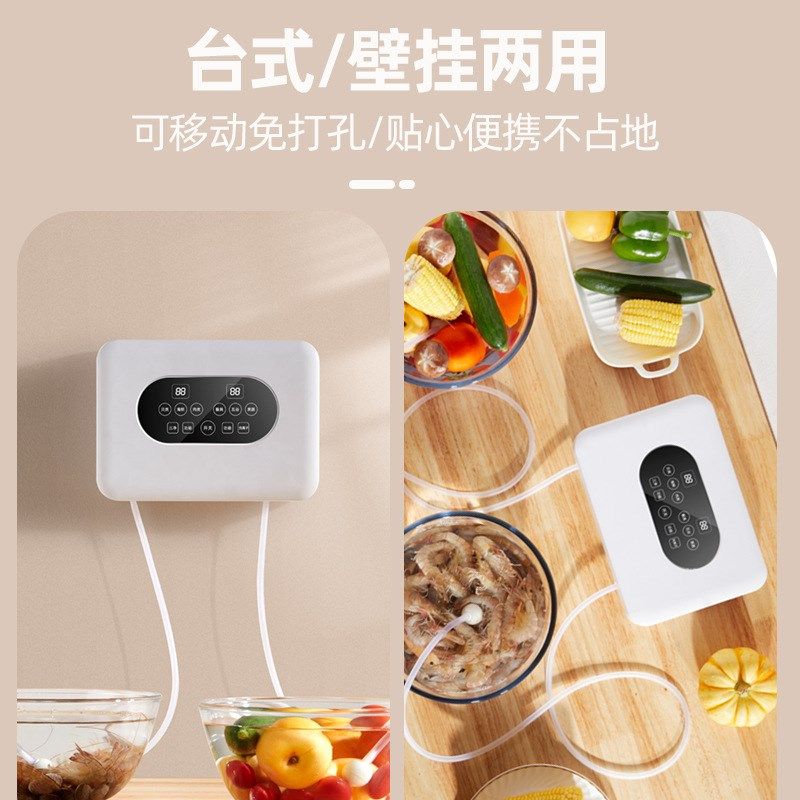 果蔬消毒机果蔬清洗机多功能双头臭氧杀菌除农残洗菜机食材净化器