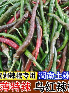 乌红辣椒本地新鲜辣椒持辣吃的小米椒腌制泡椒四川青红酱色朝天椒