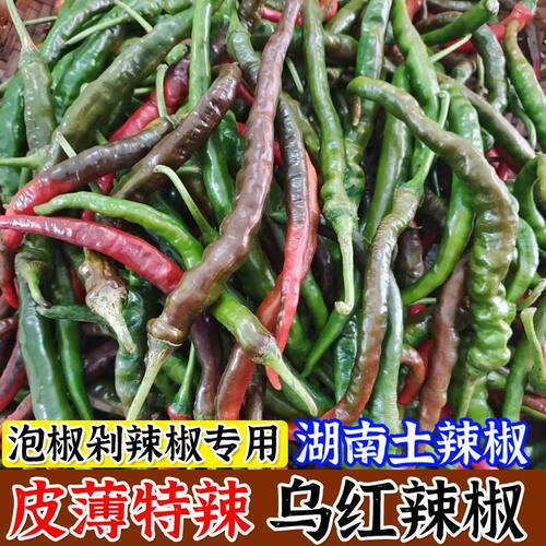 乌红辣椒本地新鲜辣椒持辣吃的小米椒腌制泡椒四川青红酱色朝天椒