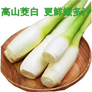 【2025头茬茭白】新鲜农家茭笋现摘产妇月子下奶蔬菜食材鲜嫩爽口