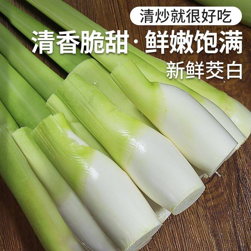 浙江现摘茭白新鲜带壳茭瓜高笋水笋茭笋孕妇下奶酒店食材鲜嫩爽口