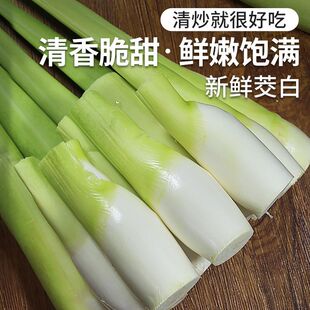 浙江现摘茭白新鲜带壳茭瓜高笋水笋茭笋孕妇下奶酒店食材鲜嫩爽口