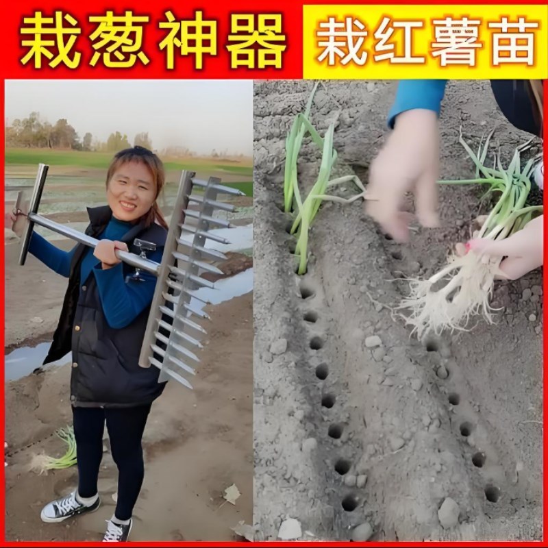 热销栽葱神器种葱插专用工具叉子大葱打孔菜移栽苗打眼器农用种植