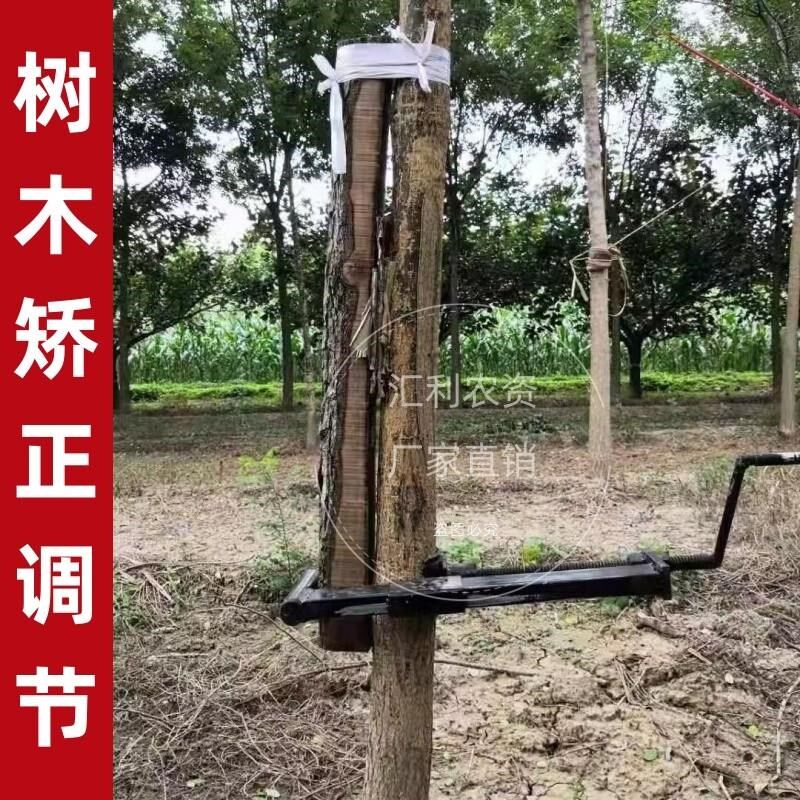 热销弯树调直器树木矫正器木棍神器歪脖子小苗买调节拉纠正固定工