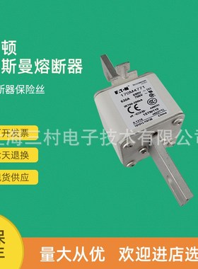 全新原装快速熔断器保险丝170M4955 170M4956 170M4957 170M4958