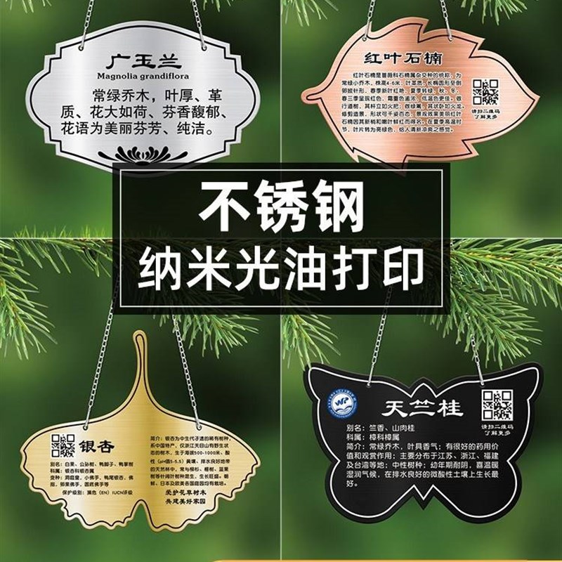 植树节挂牌不锈钢树牌植物吊牌植树节学校公园绿化信息.介绍牌定
