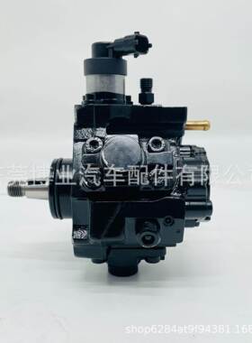 油泵0445010191/0 445 010 191 1123100RAA用于博-世V-MEU3发动机