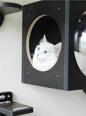 壁挂太空舱猫爬架墙壁式跳台黑色猫爬墙不占地客厅阳台猫墙猫窝
