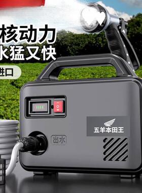 进口抽水泵农用灌溉电充菜地浇水机家用小式AL100558抽水机淋型花