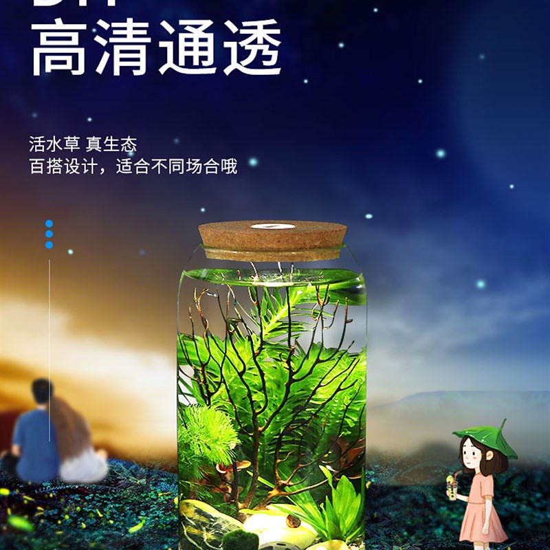 高脚杯生态瓶鱼免换水打理微景观科学用diy作业办公桌面造景鱼缸