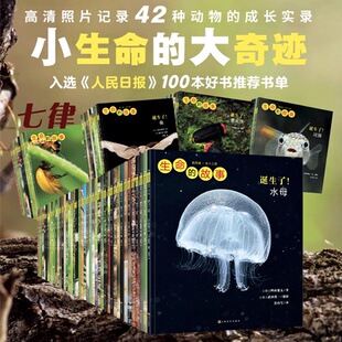 故事30册全套42册第一二三四五辑昆虫记动物自然物语少儿科普绘本图画幼儿园小学生一二三四年级课外阅读书 童书生命 官方正版