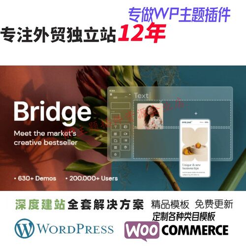 Bridge -Elementor WooCommerce WordPress 主题外贸电商网站模板