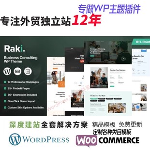 Raki - 商业服务金融咨询 WordPress 主题IT 创业设计WP网站模板