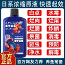 亚甲基蓝鱼缸消毒水族鱼专用杀菌药专治烂身烂尾水霉病药试剂溶液