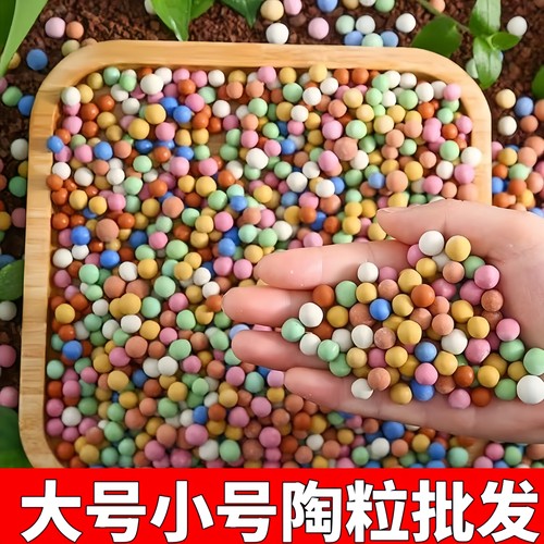 彩色陶粒颗粒养花水培盆栽