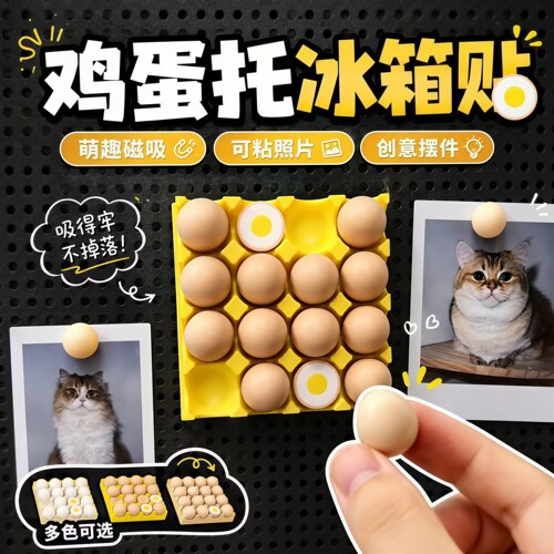 磁吸鸡蛋托冰箱贴拍立得可写