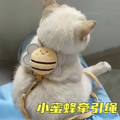 猫咪牵引绳外出防挣脱可调节链子