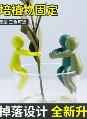 水培植物扶正扶枝固定造型伴侣
