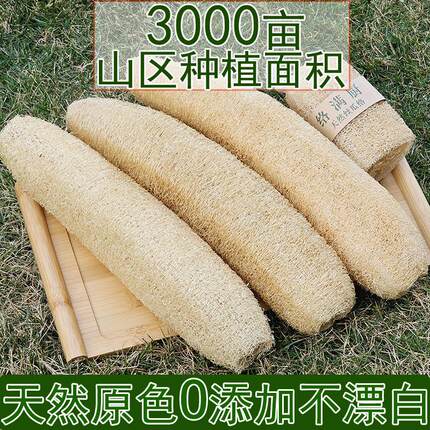 天然丝瓜络洗碗丝瓜瓤不沾油刷锅洗澡巾长条整根洗碗布