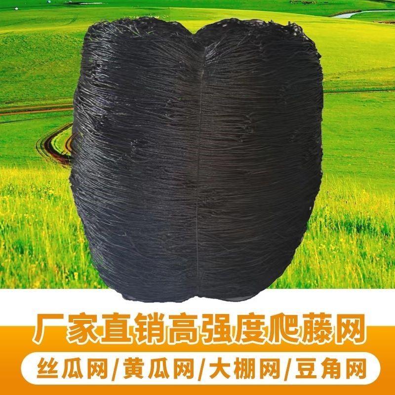 爬藤网百香果搭架专用网苦瓜丝瓜植物攀爬藤蔓网尼龙网豆角网