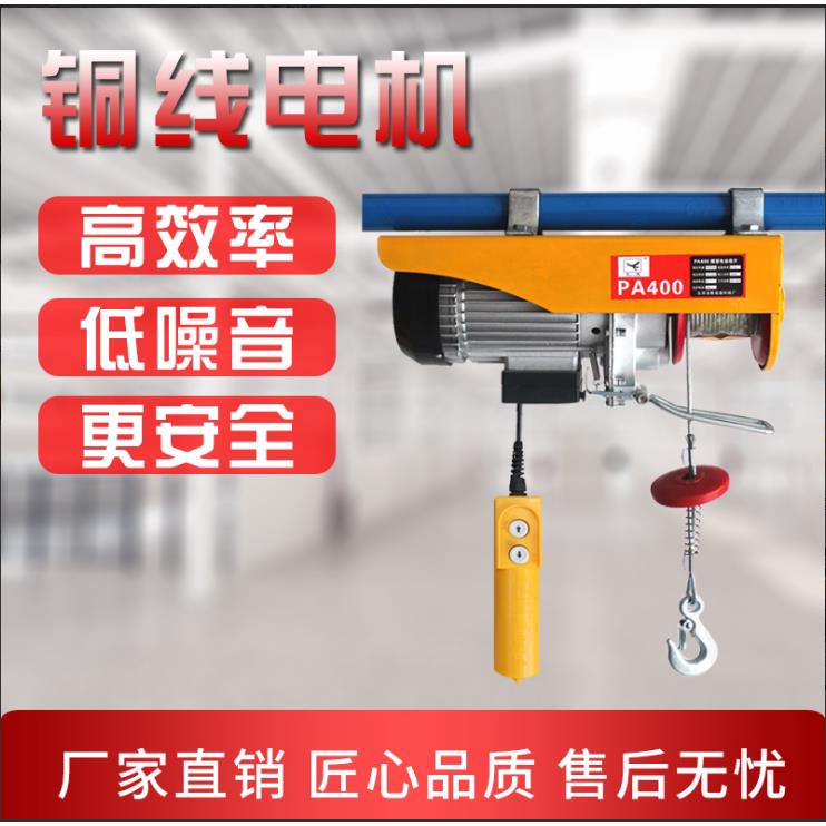 微型电动吊车220V小型家用吊机PA600建筑提升机升降无线 线起重机图片