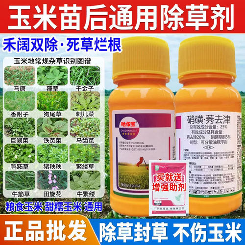 全网热销玉米苗后除草专用剂安全