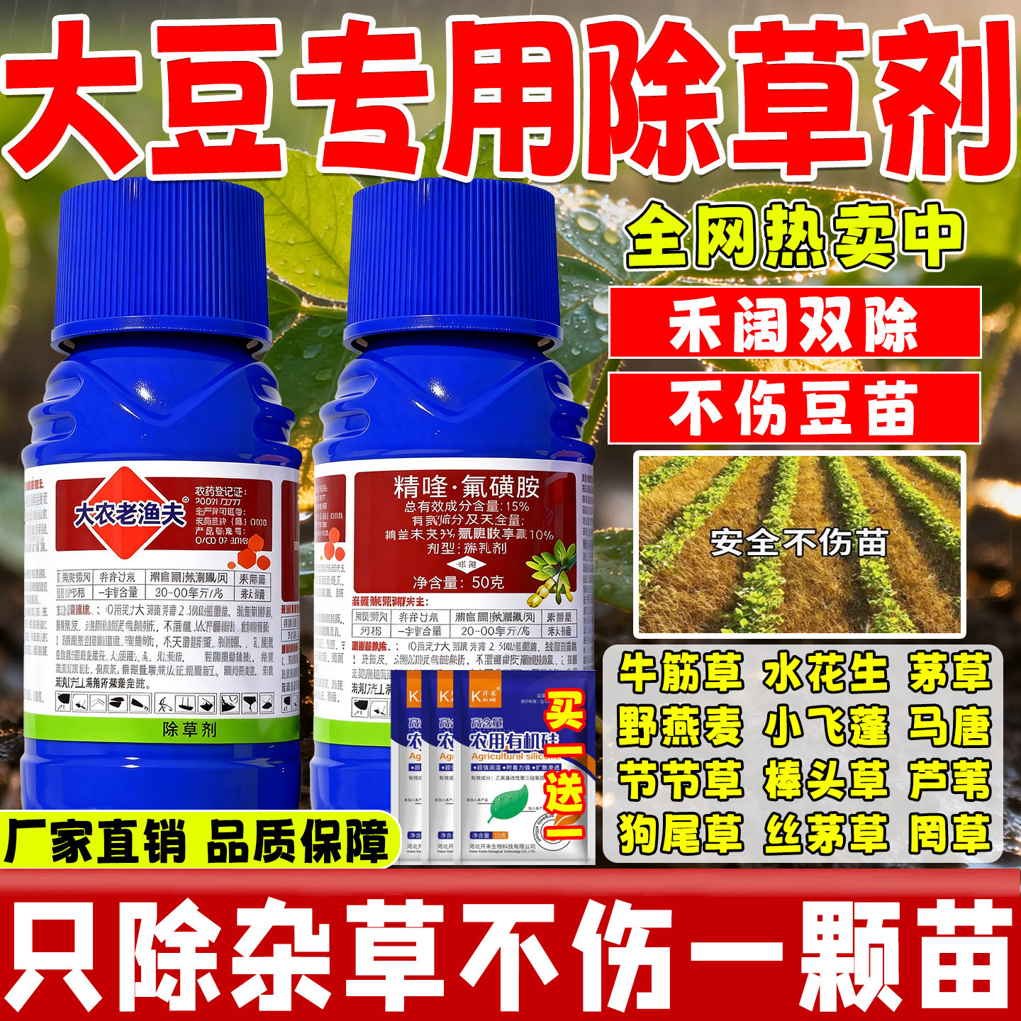 大豆黄豆田地苗后专用除草剂除草烂根死根禾阔双除安全型不伤豆苗 - 实物图