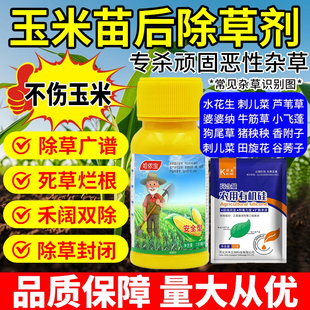 农药 玉米地苗后专用除草烂根剂杂草一扫光除包谷通用除草封草正品