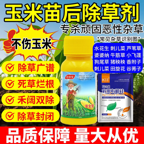 【可能认识的人已购买】玉米专用