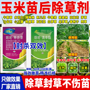 玉速达玉米田地苗后除草剂通用型不伤玉米袋装除草剂强效除草正品