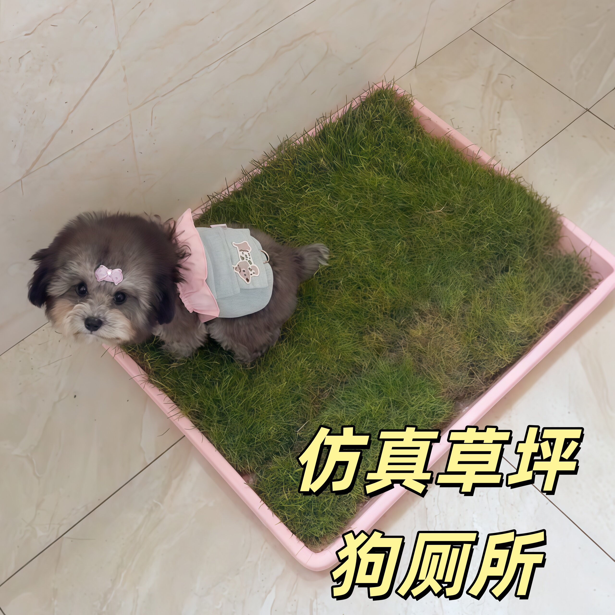 仿真草坪狗厕所小中大型犬尿尿绿色假草皮固定尿垫狗狗便盆狗砂盆