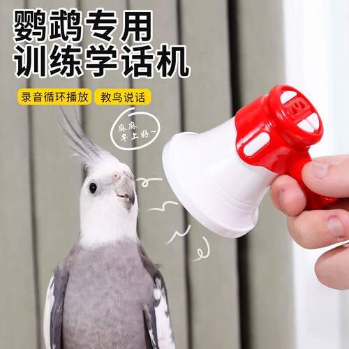 鹦鹉学说话复读录音机