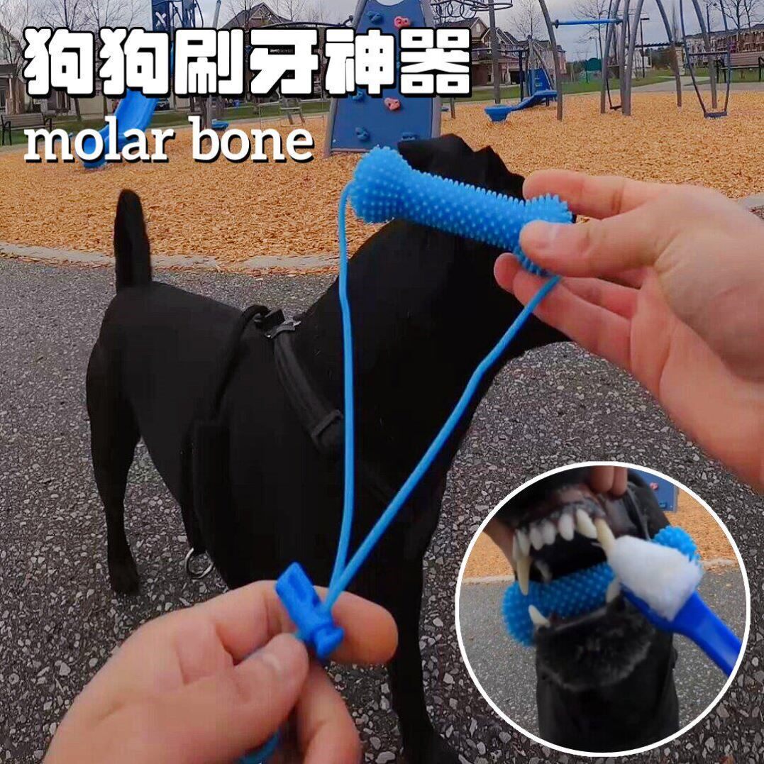 狗狗刷牙神器吸盘拉绳磨牙玩具