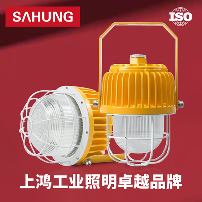 上鸿led防爆灯40W60W80W120W化工厂照明灯煤矿油漆房加油气站灯具
