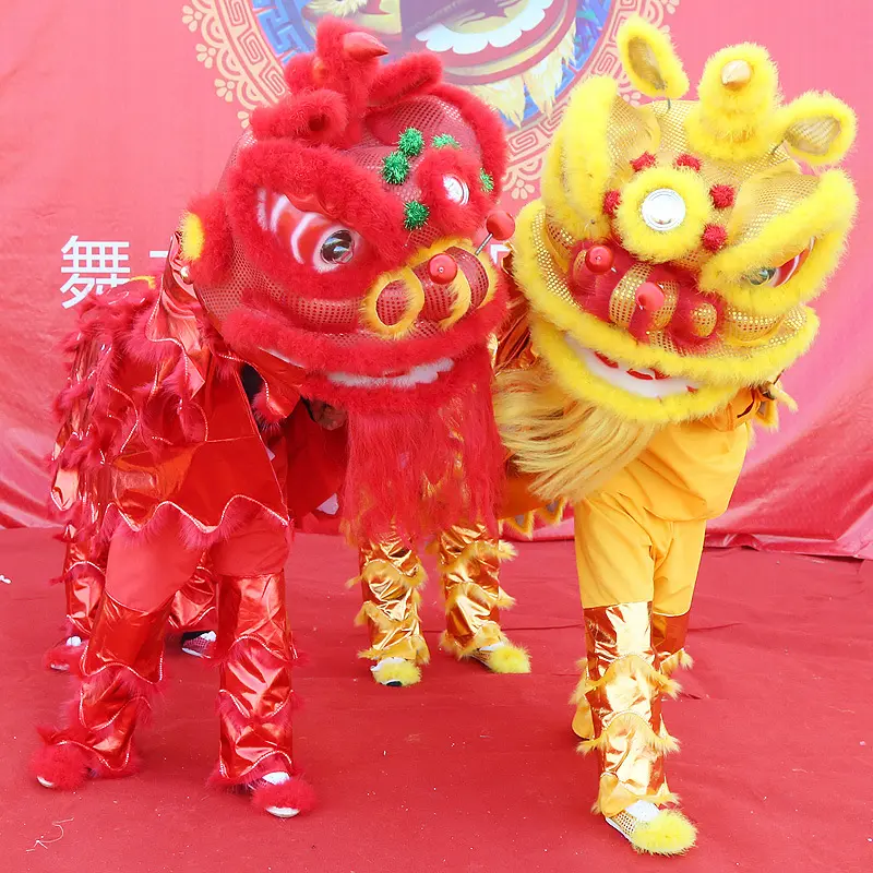 新款舞狮道具整套南狮双人舞狮子龙醒狮成人服装狮头套装