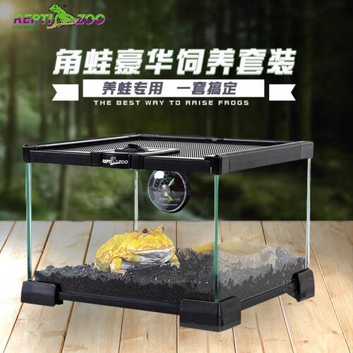 reptizoo爬宠饲养箱睫角守宫蜥蜴饲养盒寄居蟹角蛙雨林生态爬虫缸