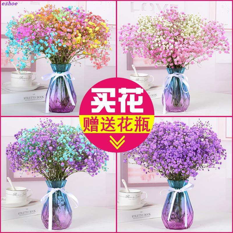 装饰摆设花瓶客厅天然家居摆饰干燥花花束真花插花卧室满天星鲜花
