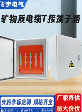Jxt1电缆接线盒铜阻隔盒Bttrz国家标准矿用电缆t型接线盒低压分支