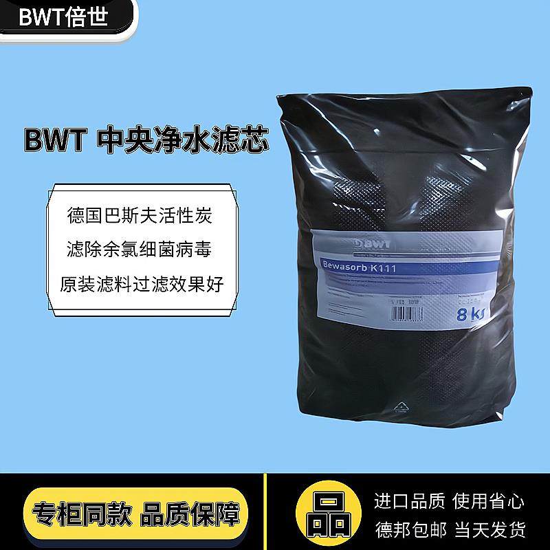 BWT倍世中央净水器活性炭通用水丽Cillit更换耗材原装碳棒滤芯