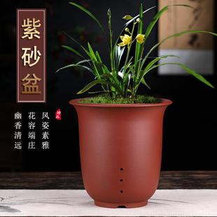 宜兴紫砂花盆春兰剑兰惠兰墨兰兰科植物专用花盆带底座室内大号