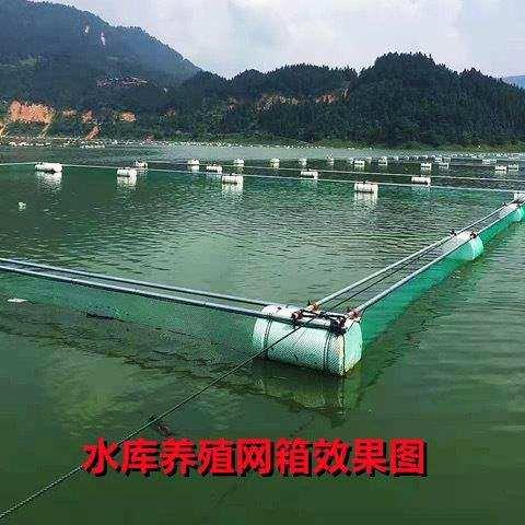 定做养鱼大存鱼不伤鱼网箱水产网箱尼龙抬网鱼塘全自动养殖中国