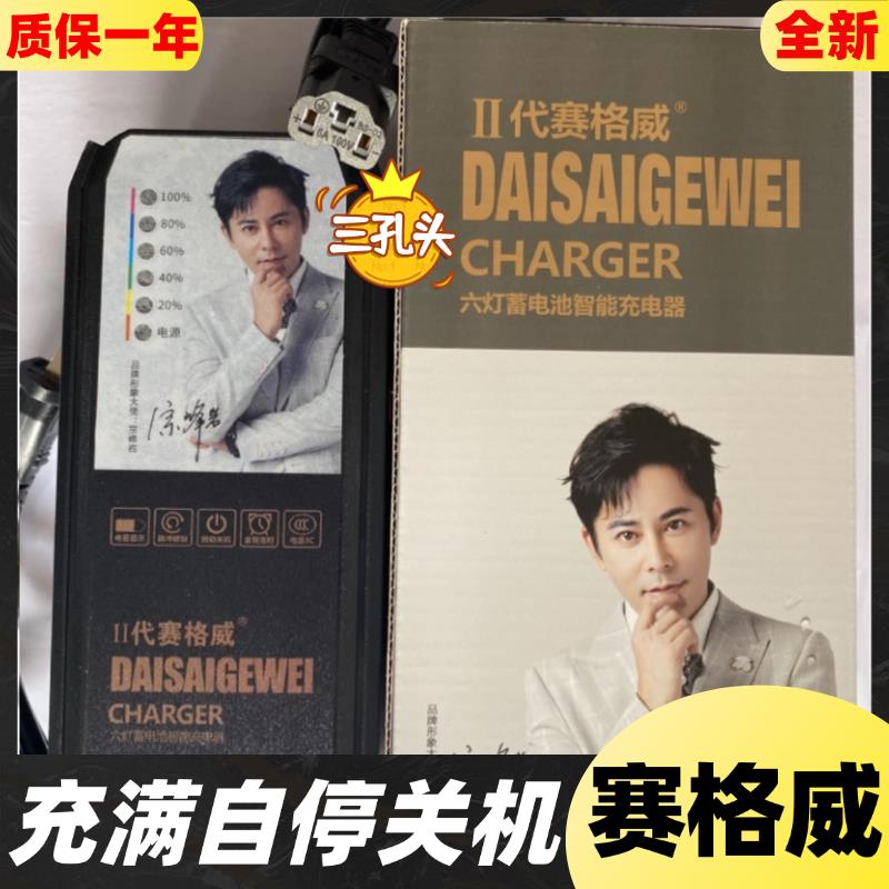 充满自停电动车充电器60V72V20二代赛格六灯脉冲智能原装铅酸三孔