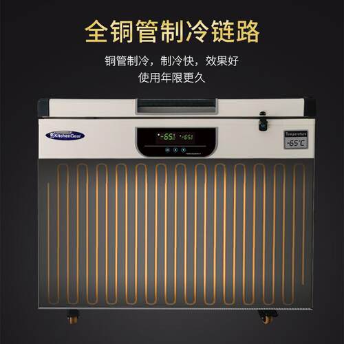 卧式低551温深冰柜验零下超60/80度家用冷海鲜柜实室冰箱冷冻柜