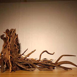 树桩沉木南美缸沉木鱼缸造景骨架造景南美缸造景沉木树桩生命之树