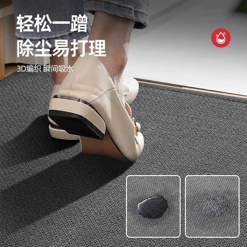 入户门地垫家用门垫纯色进门耐脏防滑玄关客厅高级地毯脚垫蹭脚