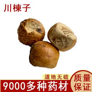 中药材店铺 川楝子川练子 生川楝子 苦楝子 楝实 金铃子草药 50克